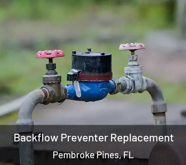  Backflow Preventer Replacement Pembroke Pines, FL