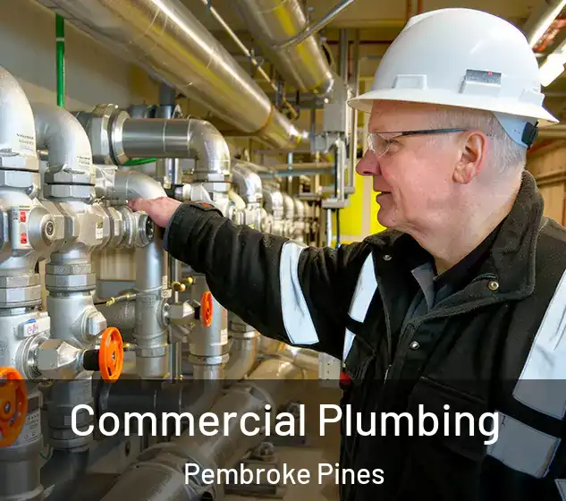  Commercial Plumbing Pembroke Pines