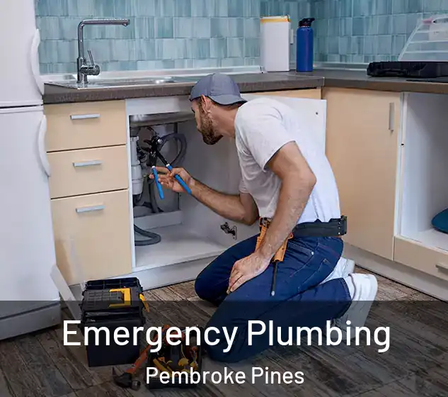  Emergency Plumbing Pembroke Pines