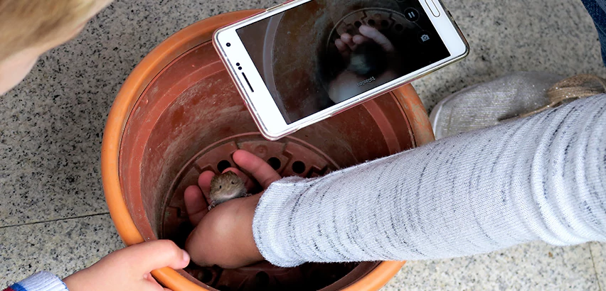 Scope of Drain Camera Inspection Services in Pembroke Pines, FL