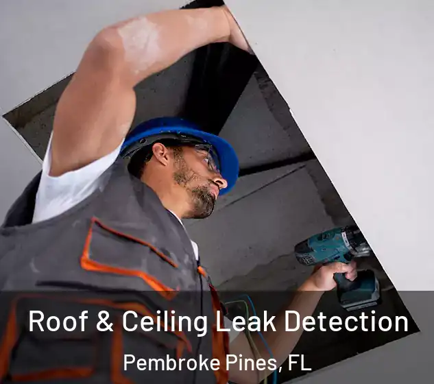  Roof & Ceiling Leak Detection Pembroke Pines, FL