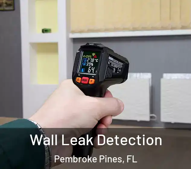  Wall Leak Detection Pembroke Pines, FL