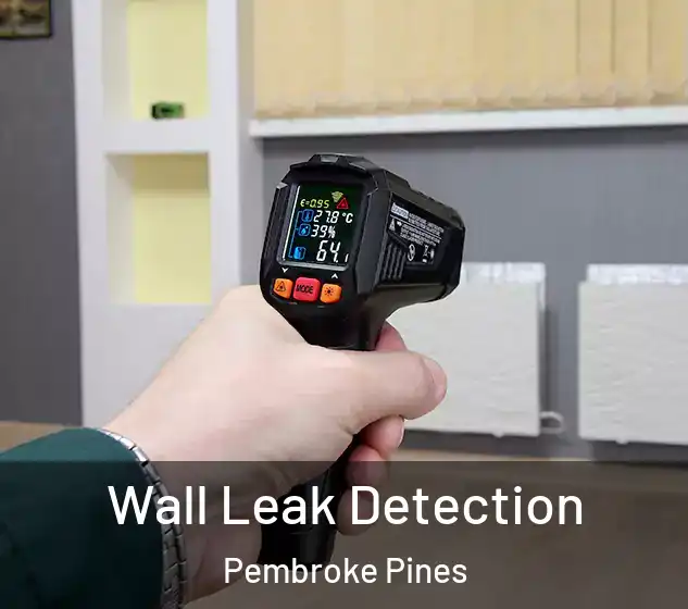  Wall Leak Detection Pembroke Pines