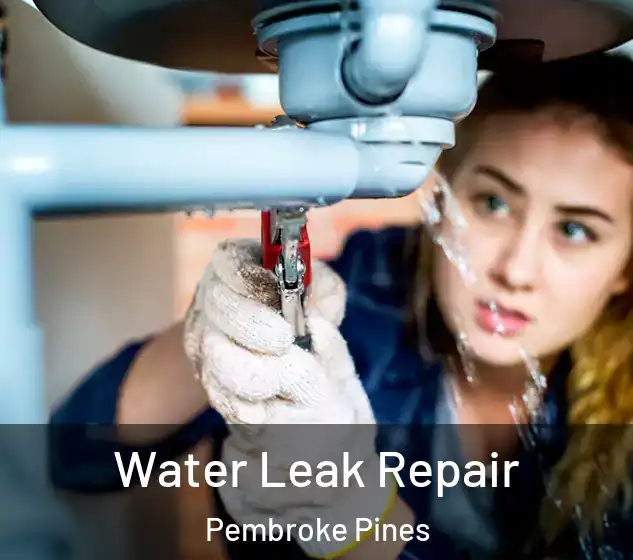  Water Leak Repair Pembroke Pines